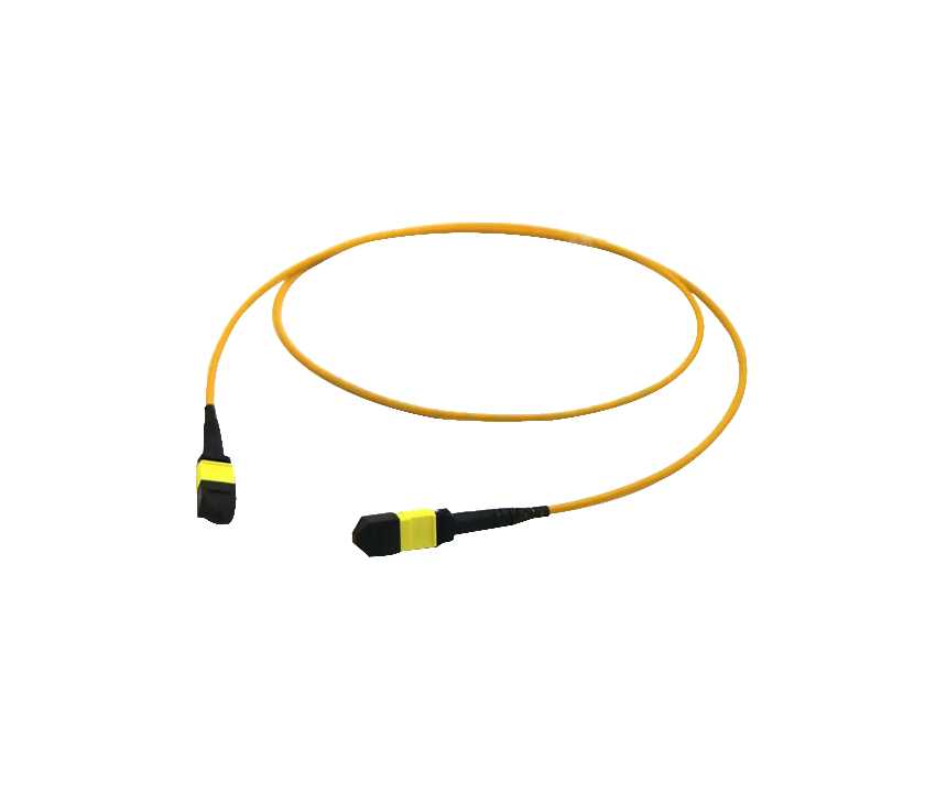 Data Communication Network MPO/MTP Trunk Cable