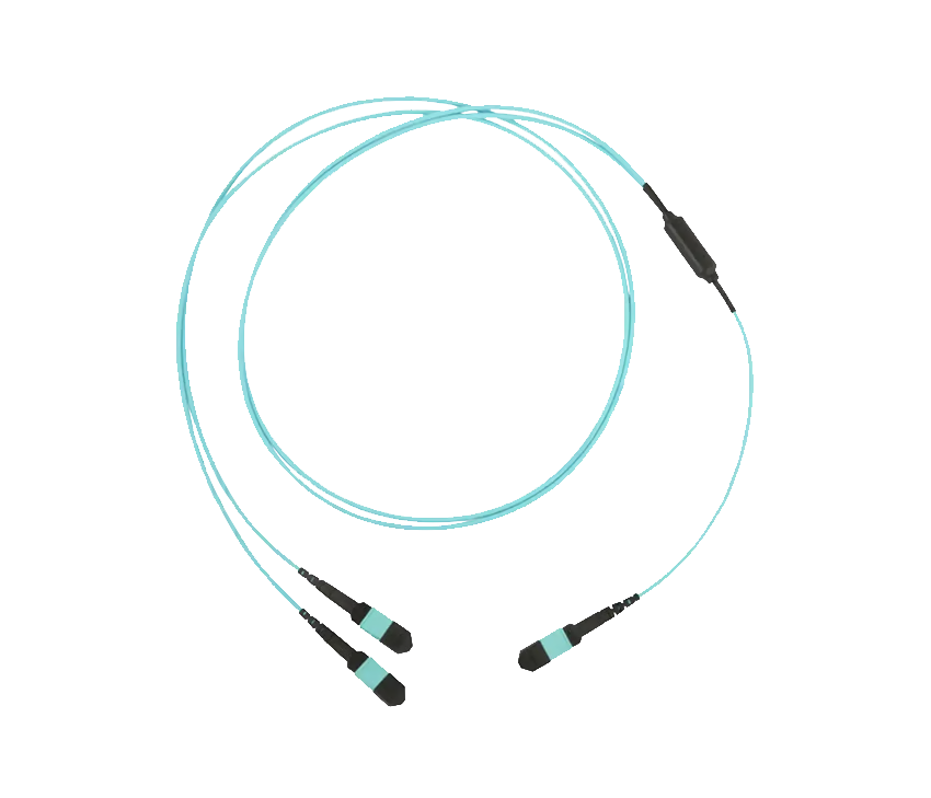 Y Model MPO/MTP Trunk Cable , MPO-2*MPO Fanout Trunk Patch Cord