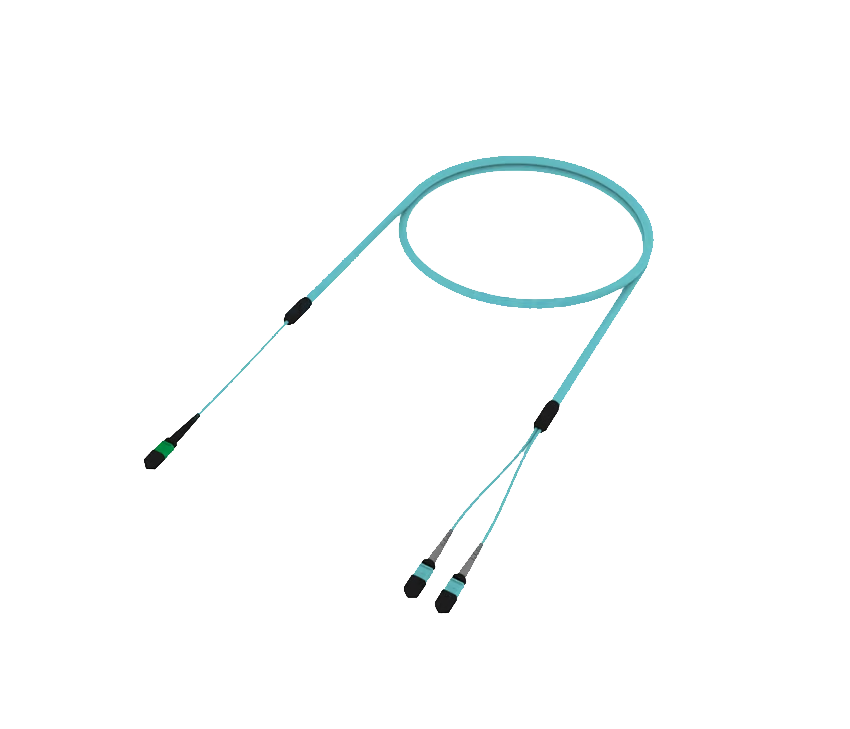 Y Model MPO/MTP Trunk Cable , MPO-2*MPO Fanout Trunk Patch Cord